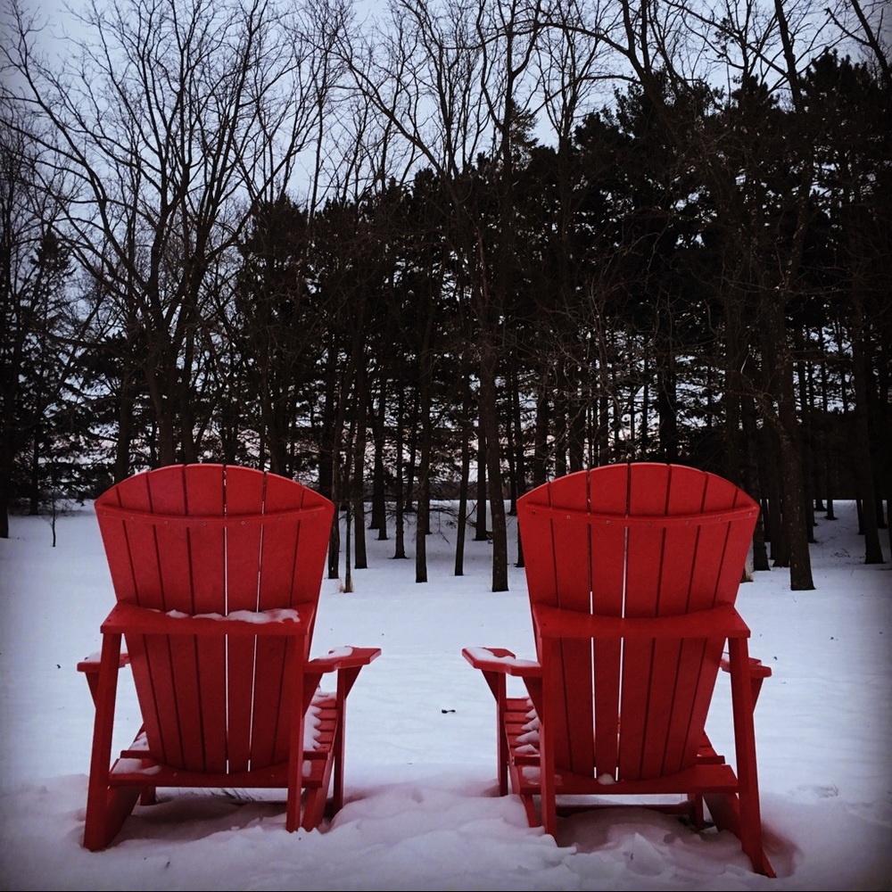 Meet your Posher, Phoebe